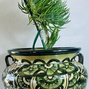 Peut inclure: Un pot de fleurs en céramique ronde avec deux anses latérales, présentant une base crème avec des motifs floraux vert foncé complexes et des points blancs. Une plante succulente verte aux feuilles fines pousse au centre du pot.