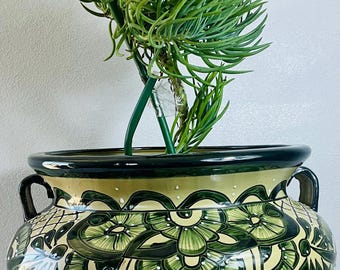 Michoacana Talavera