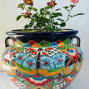 May include: A large, round, glazed ceramic planter with two side handles, featuring a vibrant, multi-colored hand-painted floral and dragonfly pattern in shades of red, blue, green, yellow, and black, containing a small rose plant with green leaves.