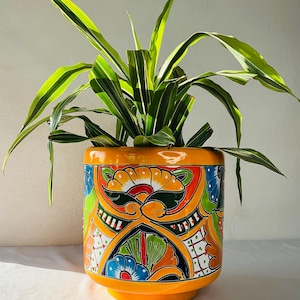 Planter Smooth cylinder