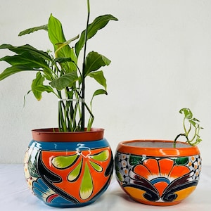 Puede incluir: Dos macetas de cerámica pintadas a mano y vibrantes. La maceta más grande presenta un borde azul, un diseño floral naranja y verde y un interior marrón. La maceta más pequeña tiene un patrón floral naranja y blanco. Ambas macetas contienen plantas verdes.