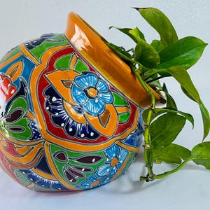 May include: A round ceramic planter with a glossy orange rim and a vibrant, multi-colored floral pattern featuring shades of blue, green, red, and yellow. A green leafy plant with trailing vines grows out of the opening of the rounded vessel.