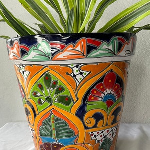 Puede incluir: Un macetero de cerámica pintado a mano con un diseño floral azul, naranja, amarillo, verde y rojo. El macetero está lleno de una planta verde.