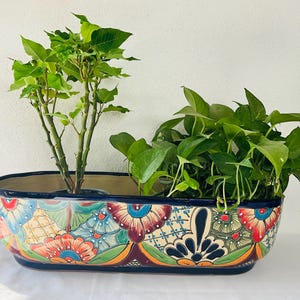 Może przedstawiać: Prostokątna ceramiczna donica z żywym kwiatowym wzorem w kolorach czerwonym, niebieskim, pomarańczowym i zielonym. Donica zawiera dwie zielone rośliny. Donica ma ciemnoniebieską obwódkę i podstawę, dodając kontrastową obwódkę do kolorowego wzoru.