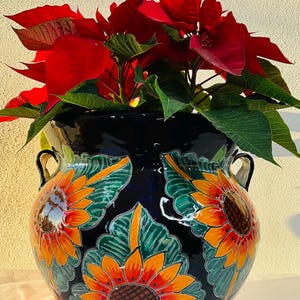 Medium Michoacana Talavera