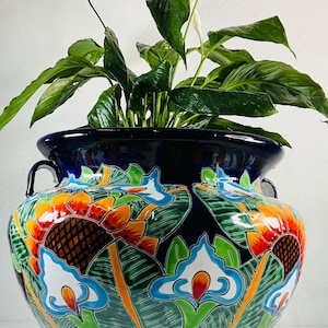 May include: A large, round, ceramic planter with a vibrant floral design. The planter features a deep blue rim and handles, with colorful flowers in orange, yellow, blue, and green. The planter holds a lush green plant with large leaves and white flowers.