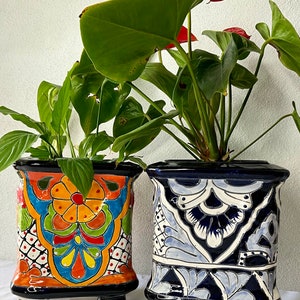 Talavera  pot