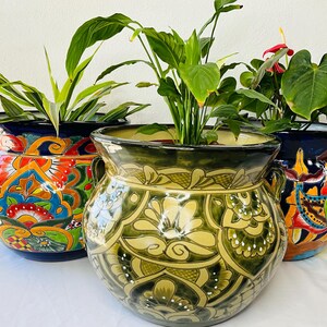 May include: Three hand-painted terracotta pots with colorful floral designs. The pots are filled with green plants and are perfect for adding a touch of Mexican style to your home.