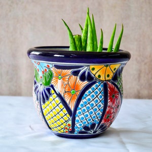 May include: A colorful ceramic planter with blue, green, yellow, orange, and red floral designs. The planter is filled with a green succulent plant.