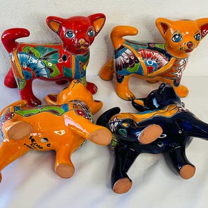 A Cute Chihuahua Talavera Puppy