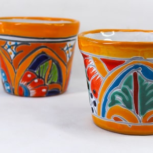 Talavera  pot
