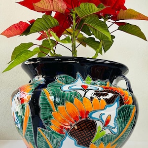 Michoacana Talavera