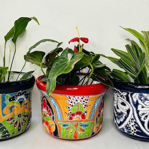 A mushroom Talavera pot