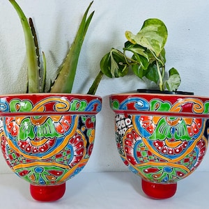 Puede incluir: Dos maceteros de pared de cerámica con un vibrante patrón pintado a mano en rojo, amarillo, azul y verde. Cada recipiente en forma de cuenco tiene una base redondeada y contiene una planta verde, incluyendo un aloe vera y un pothos.