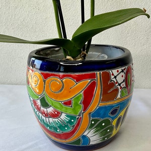 May include: A colorful ceramic planter with a blue base and intricate floral designs in shades of red, yellow, green, and white. An orchid plant is potted in the planter.