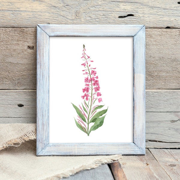 Fireweed Alaska Flower Watercolor Print 8x10