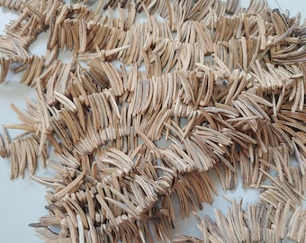 Coconut chip fang beads, Stick beads, spike beads, 110 beads, 35mm