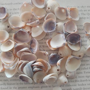 Peut inclure: Un ensemble de petits coquillages ouverts, aux tons crème, beige et violets, disposés sur une page de livre ancienne. Les coquillages varient en taille et en forme, créant un affichage naturel et texturé. Le texte de la page est partiellement visible.