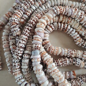 Puka shell, 12mm natural puka shell beads, 16" strand long.