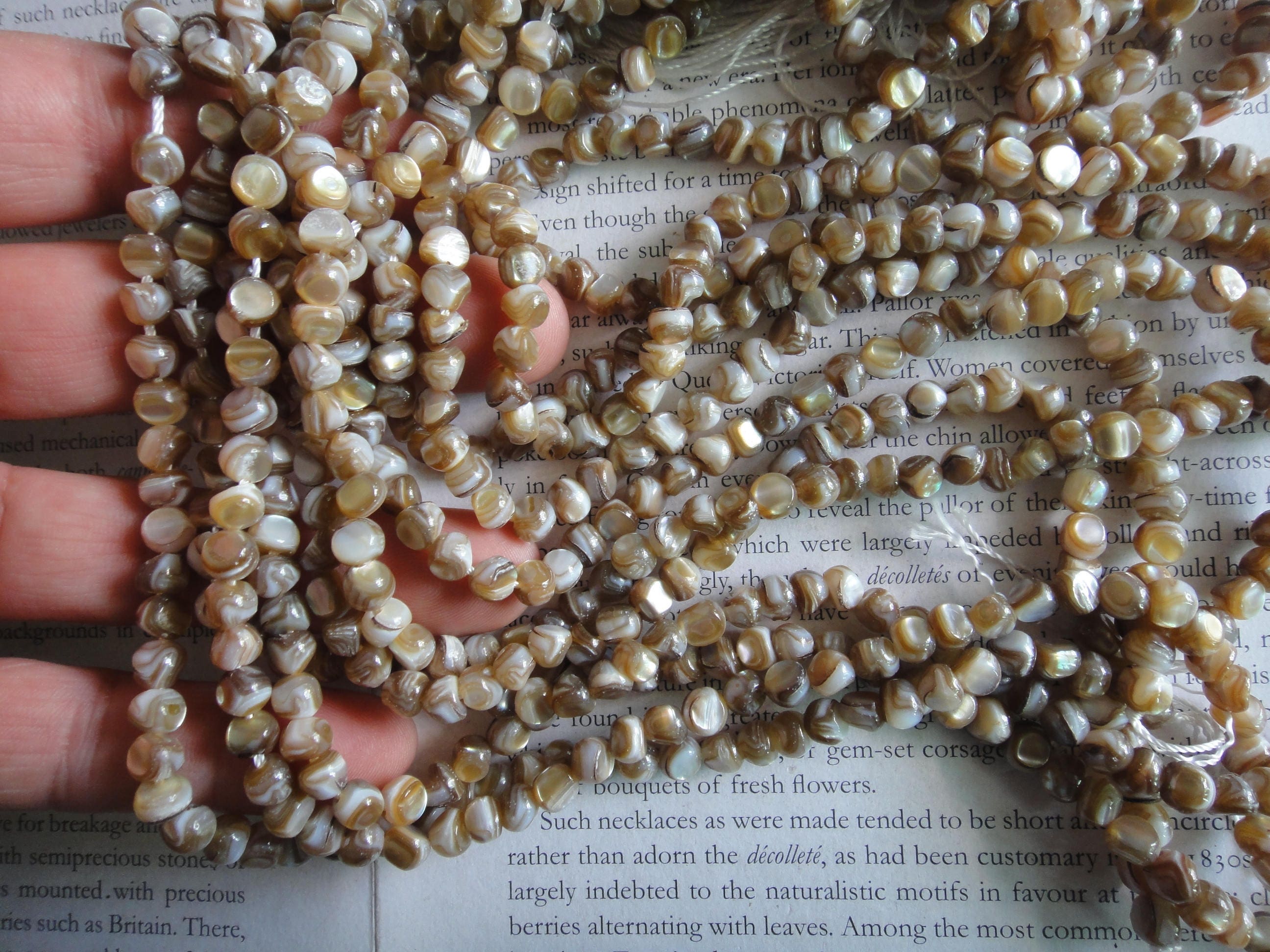Freeform Natural Shell Beads, Near Round Mop Beads, 6mm, About 15.5 ...
