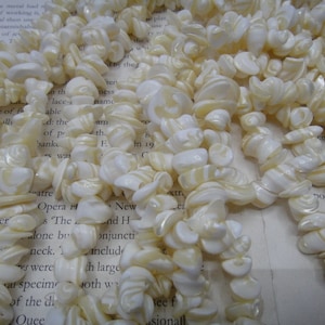 Puede incluir: Una hebra de cuentas de concha blanca con un patrón de espiral. Las cuentas tienen una forma irregular y un acabado brillante.