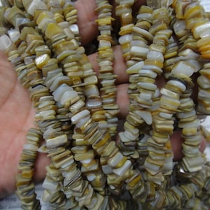 Heishi shell beads, Natural sea shell chip beads, natural golden like color, 8mm, 15.5 inch