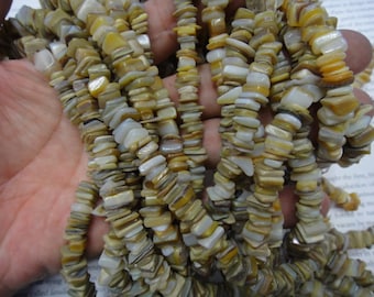 Heishi shell beads, Natural sea shell chip beads, natural golden like color, 8mm, 15.5 inch