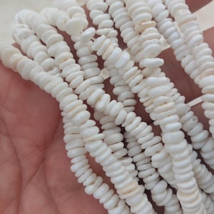 May include: A strand of white shell beads, made from small, flat, round shells. The beads are strung together to create a long necklace or bracelet.