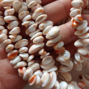 Puede incluir: Una hebra de cuentas de concha blanca y naranja. Las cuentas son de forma ovalada y tienen un acabado natural e iridiscente.