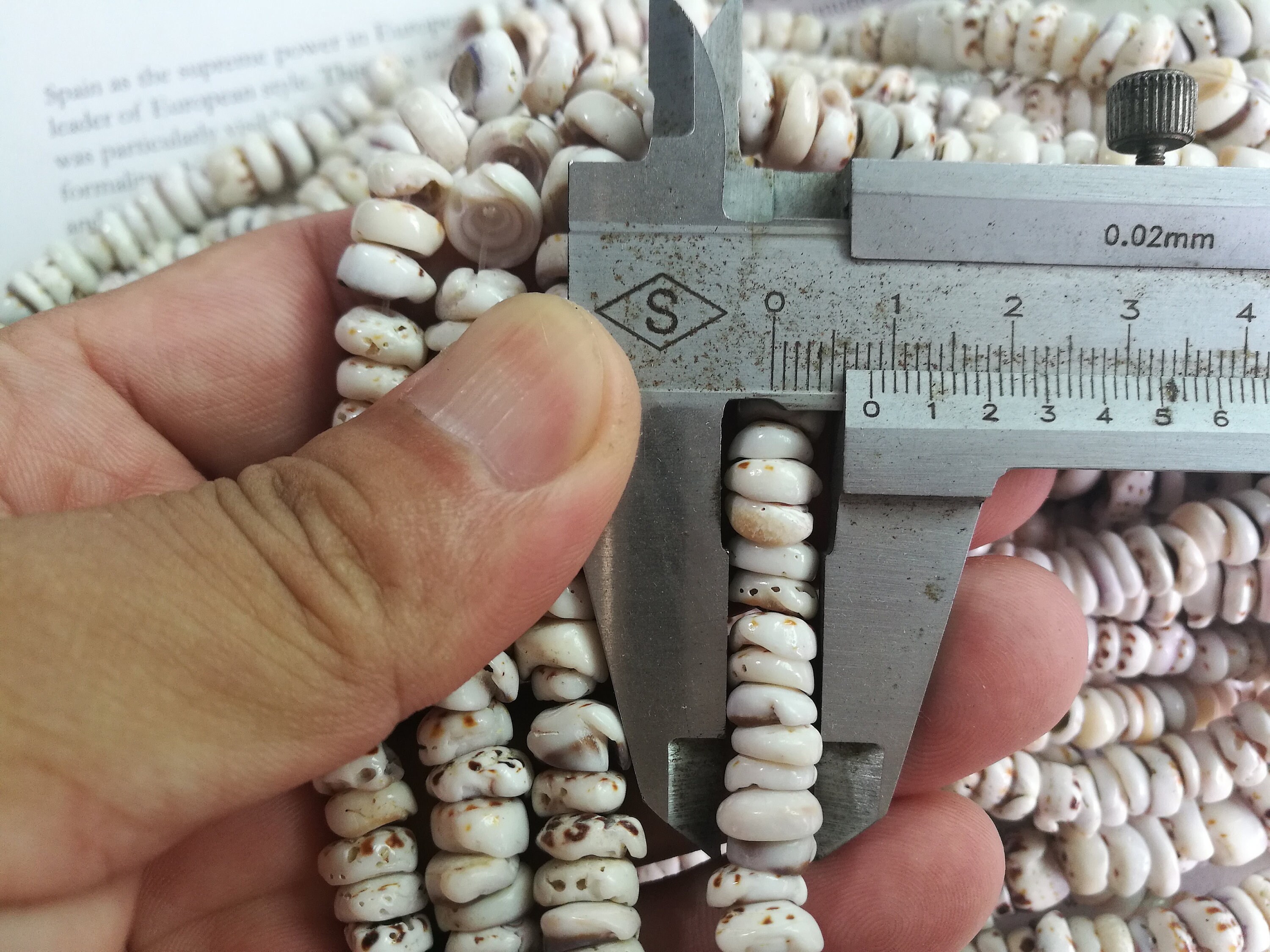 Puka Shell Buttons Puka Shell, 8mm Natural Tiger Puka Shell Beads, 16