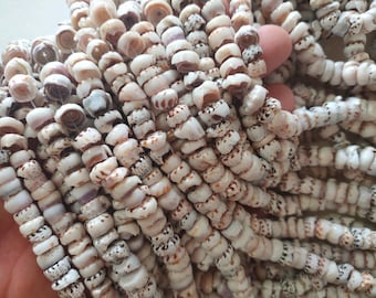 Tiger puka beads 9-10mm nature shell beads, 15.5" strand long.