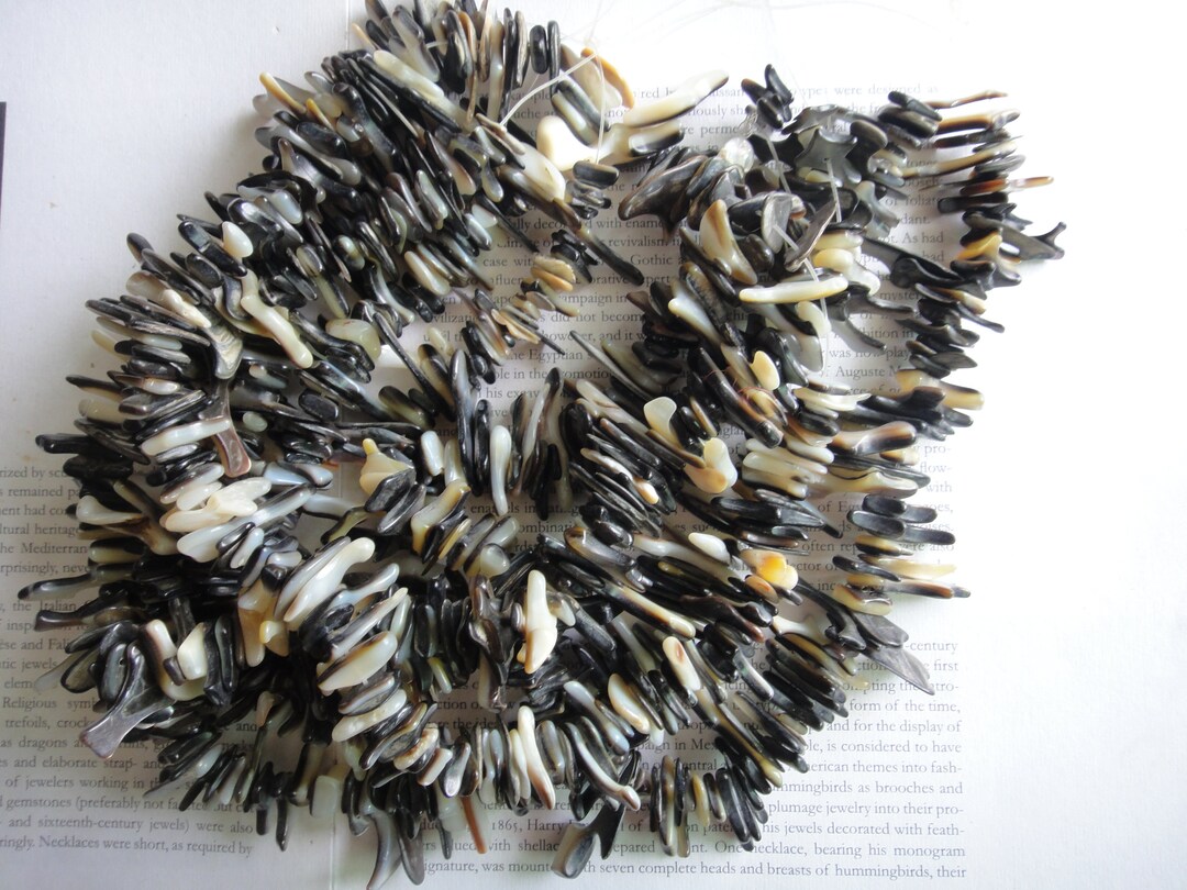 Natural Black Lip Shell Chip Beads, Fringe Beads, 16 Inch, 10-30mm, 135 ...