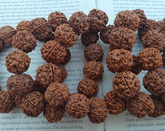 Jumbo size Mala beads, 20mm organic mala beads, nature nut mala rondelle beads, 10 beads