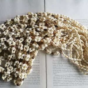 35 inch shell strand, Seashell kralen, Craft shell, shell supplies.