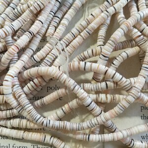May include: A close-up of a pile of white, brown, and black shell beads. The beads are small and round, and they are arranged in a random pattern.