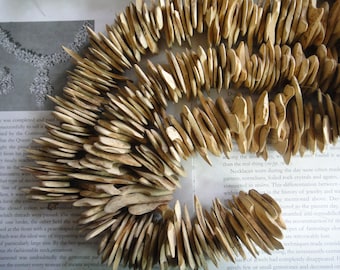 Natural beige color, coconut shell chip beads, about 20-30mm, about 120 beads