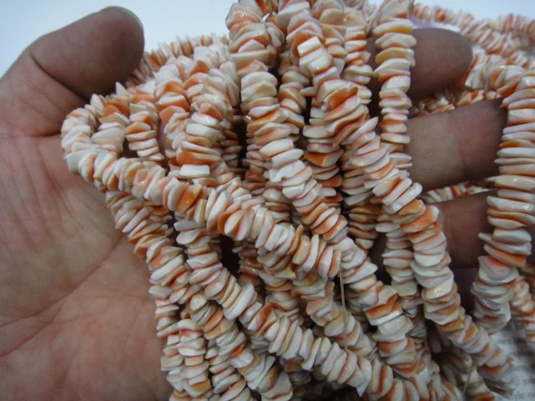 Shell Beed Shell Heishi Beads, Natural Sea Shell Chip Beads, Natural Brown Tinted ...