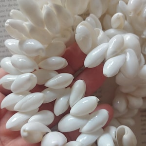 May include: A close-up of a strand of white, elongated seashells. The shells are smooth and glossy, with a pearly sheen. The shells are clustered together, creating a textured, organic appearance. The shells are likely used for jewelry or decorative purposes.