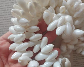 craft nature white bubble shell, nature white craft shell beads, about 20mm, 30 beads