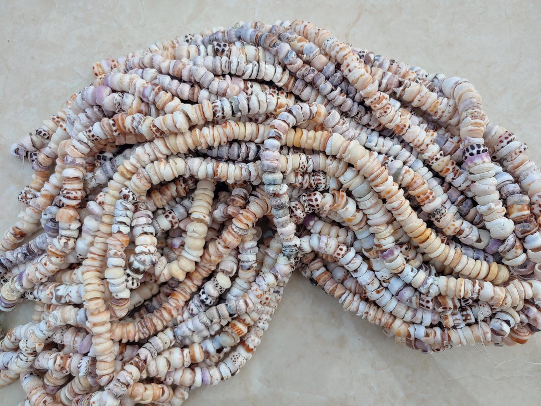 Tiger Puka Shell, 12mm Nature Puka Shell Beads, 15.5 Inch Long - Etsy