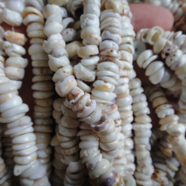 Puka shell, 10mm natural puka shell beads, 16" strand long.