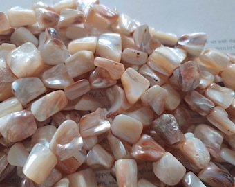 Nature champagne color Shell nugget beads,  nature gold color shell free form beads, MOP beads, 25 bead