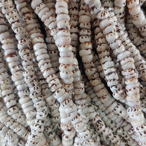 May include: Close-up of multiple strands of white shell beads with brown speckled patterns. The beads are small, round, and strung together, creating a textured surface. The image showcases the natural variations in the shells.