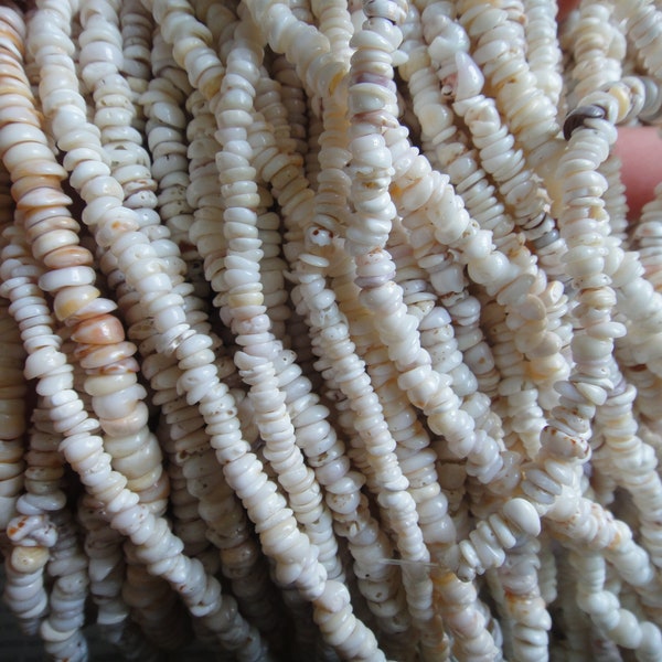 Puka shell, 6mm natural puka shell beads, 16" strand long.