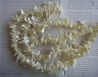 natural white shell chip beads, fring beads, 16 inch, 15-30mm, 100 beads