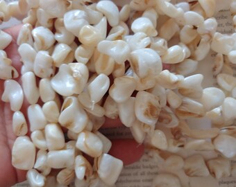 nature mother of pearl white shell nugget beads, MOP beads, 15.5 inch