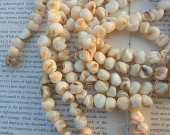 MOP near round free form nugget beads, Sea shell nugget beads, 12mm MOP beads, original color, 15.5 inch