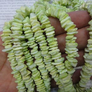 Shell heishi beads, natural shell chip beads, 10mm, dyed green. 15.5 inch