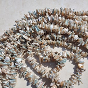 Puede incluir: Una hebra de virutas de concha beige y verde, con un brillo nacarado iridiscente. Las virutas son de forma y tamaño irregulares, y están enhebradas para crear un collar o pulsera largo.