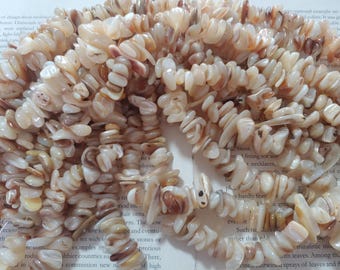 Nature champagne Shell chip beads, nature gold color free form beads, MOP shell beads, 15.5 inch